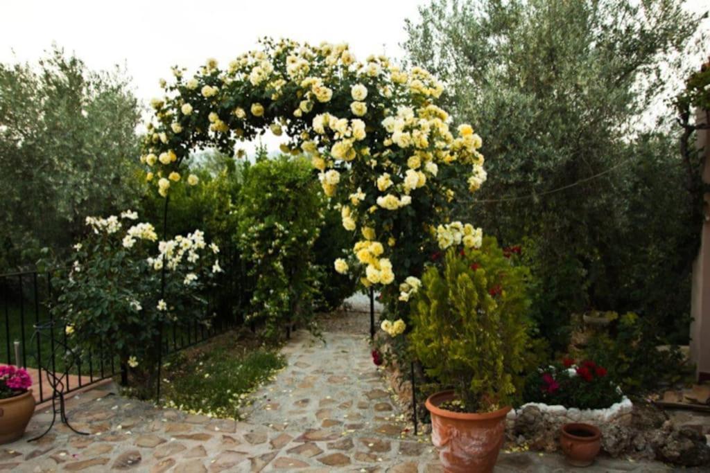 Cazorla-Alcon, Casa Hoya Don Gaspar Pozo Alcón المظهر الخارجي الصورة