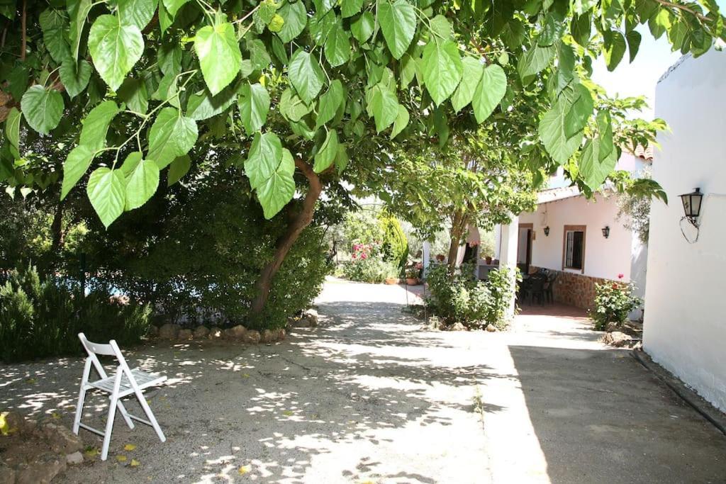 Cazorla-Alcon, Casa Hoya Don Gaspar Pozo Alcón المظهر الخارجي الصورة